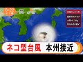【もふ猫NEWS】猫型台風は氾濫と災害に注意