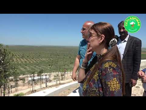 EŞBAŞKAN YAZAR MİLLET BAHÇESİNDE İNCELEMELERDE BULUNDU