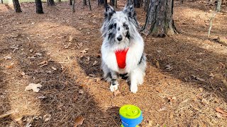 LITTLE KIDS FUBBLES SKY HIGH BUBBLES PARTY MACHINE Review | Dog Chasing Bubbles