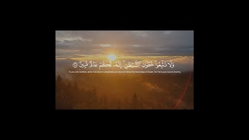 سورة البقرة ( ٢٠٨ ـــ  ٢١٠ ) #هل_ينظرون_إلا_أن_يأتيهم_الله_في_ظلل_من_الغمام #quran #ماهرالمعيقلي