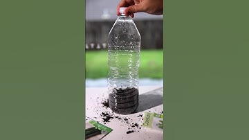 Thumbnail of DIY Mini Greenhouse #shorts #greenhouse #scienceclasses #gardening