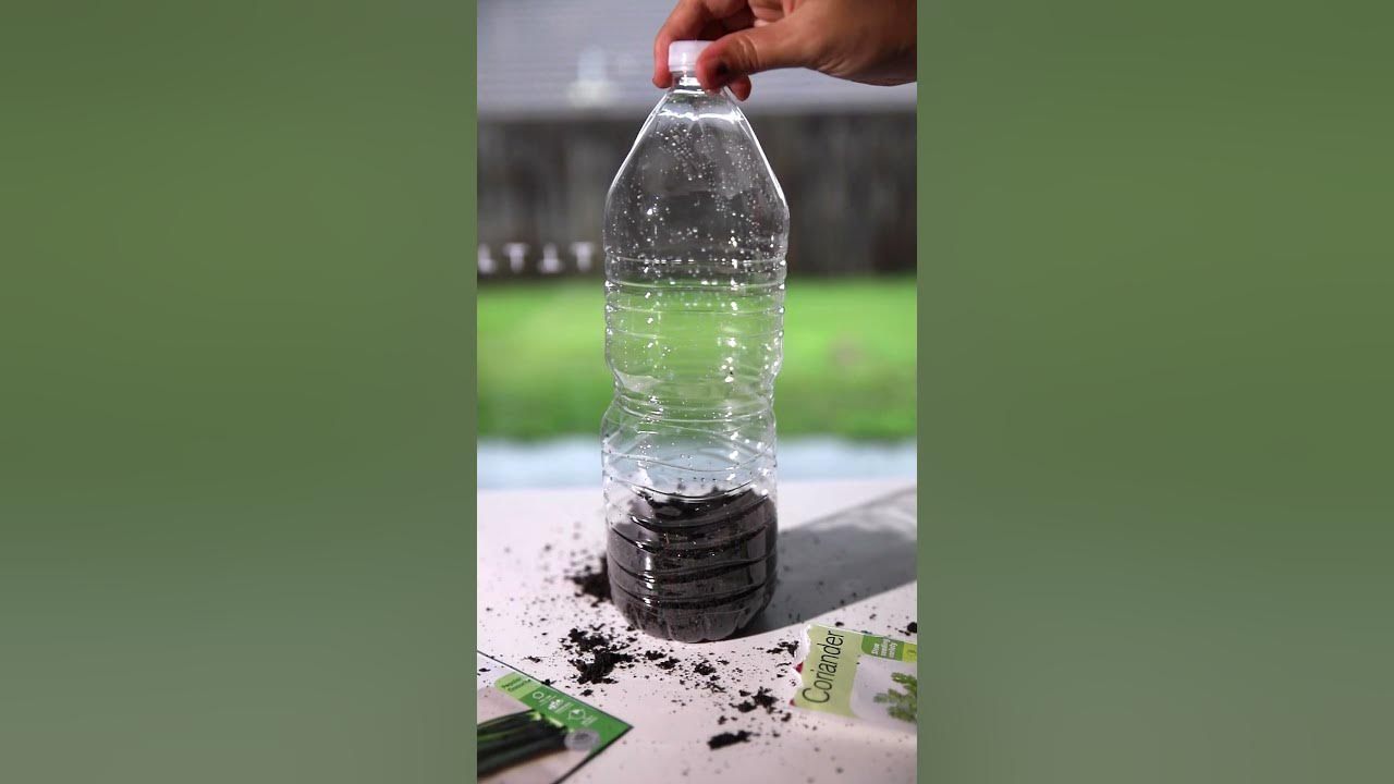 DIY Mini Greenhouse #shorts #greenhouse #scienceclasses #gardening