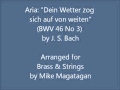 Miniature de la vidéo de la chanson Cantata, Bwv 46 "Schauet Doch Und Sehet, Ob Irgendein Schmerz Sei": Iii. Aria. "Dein Wetter Zog Sich Auf Von Weitem