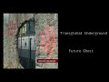 Miniature de la vidéo de la chanson Future Ghost