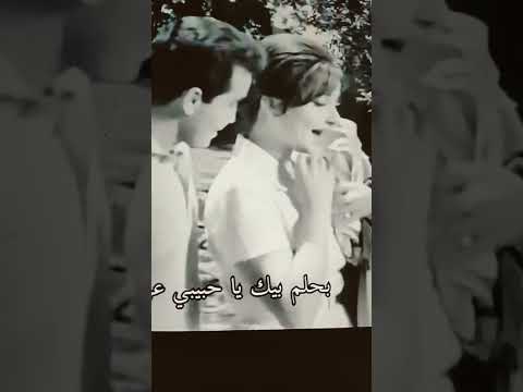 سونه ياسونسن
