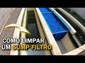 COMO FAZER A LIMPEZA DO FILTRO SUMP CORRETAMENTE CRIAÇÃO INTENSIVA saalada