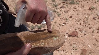 Unexpected Andamooka Detour Chasing Matrix Opal