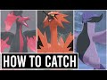 How To Catch Galarian Zapdos , Moltres , Articuno - CROWN TUNDRA