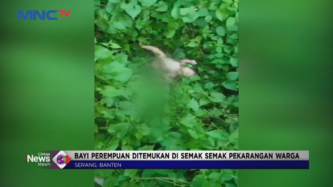 Warga Desa Gembor, Serang Digegerkan oleh Temuan Bayi di Semak-semak 
