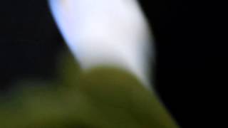 DSCN2151