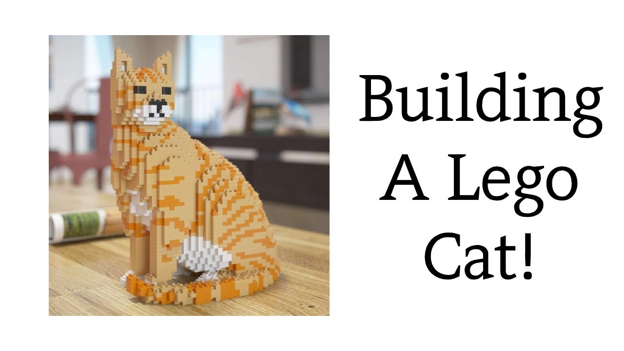 Building A Life Sized Lego Cat! - YouTube