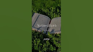 إن الله لا يحب الخائنين - ياسر الدوسري | تلاوة خاشعة