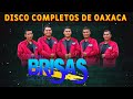 Grupo Brisas de Oaxaca || Disco Completos de Oaxaca - Chilenas de Oaxaca Mix 2024