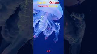 #compilation #viral #ranking #ocean #underwaterworld