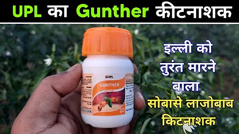 Gunther Insecticide || Gunther UPL Details information