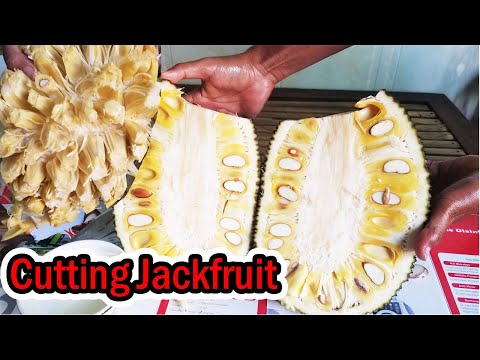 How To Cut