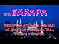 Сура Аль Бакара. Защита дома и семьи от джинов , порчи , сглаза и колдовства