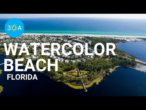 Video: Unde este acuarele florida?