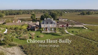 Famous Chateau Haut-Bailly, Pessac-Leognan: Full interview with Veronique Sanders Wealth