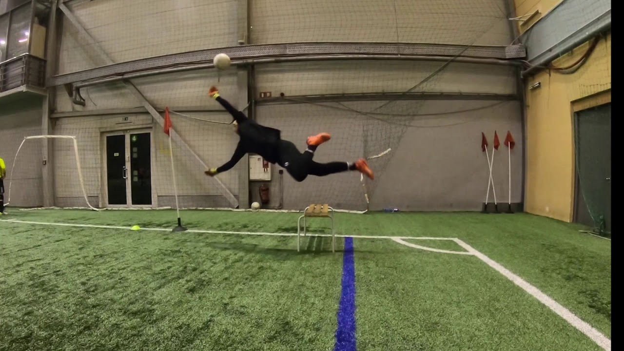 JDFS GK Handling drills, Dives & jumps YouTube