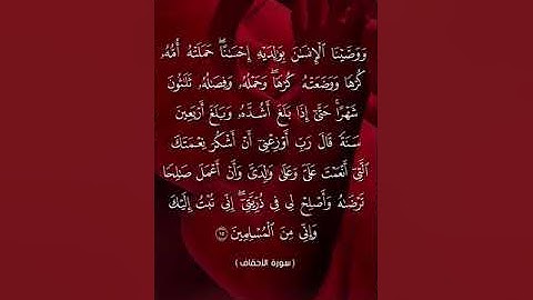 ووصينا الإنسان بوالديه احسانا، تلاوة خاشعة من سورة الأحقاف للقارئ مصطفى جيد