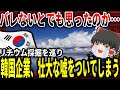 【ゆっくり解説】韓国企業、壮大な嘘をついてしまう【リチウム採掘】