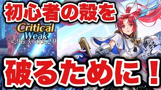 〖アナデン〗初心者の殻を破るために今の環境ってこんな感じを紹介する