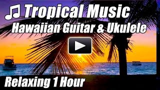 Tropical Music Hawaiian Guitar Relaxing Ukulele Acoustic Songs Hawaii Relax Studying Hour Playlist