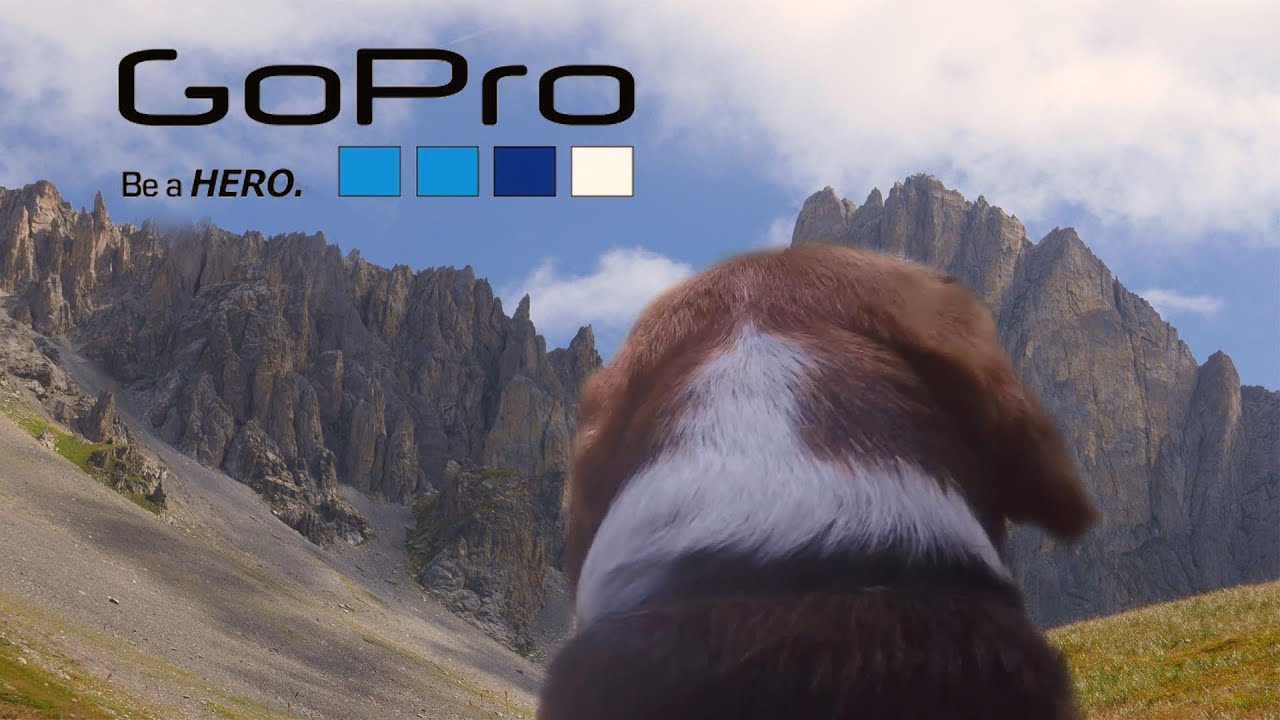 GoPro Hero 4 | The Adventures of Lucky the Beagle | GoPro on Dog
