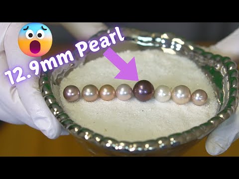 Opening a HUGE 12.9mm Pearl! (Reveals 17196 - 17208) - YouTube