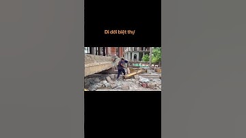 Di dời nhà để mở đường của thần đèn #didoinha #thanden