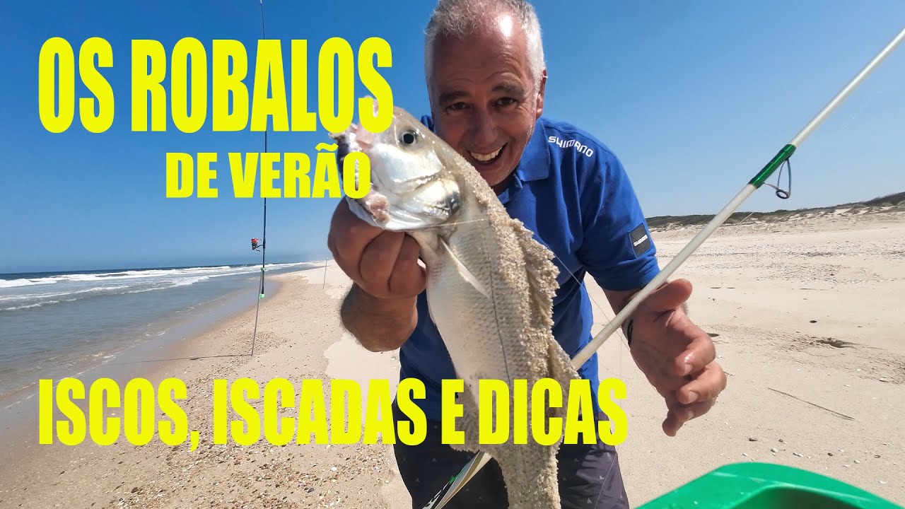 PESCA ROBALOS   ISCOS E ISCADAS
