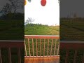 Surya Tea Resort #youtubeshorts #shorts