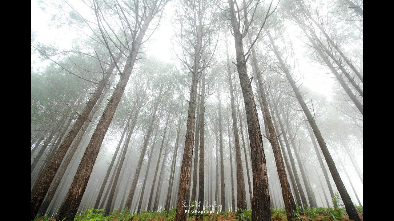 || Netarhat : Queen of Chotanagpur || Jharkhand Tourism || Explore Wid ...