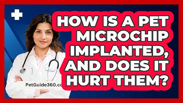 How Is A Pet Microchip Implanted, And Does It Hurt Them? - PetGuide360.com