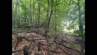 000 Lincoln Road, Beulah, MI - 1950338