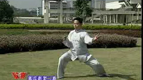 王二平新架二路 - 天天要闻