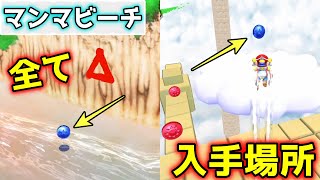 How to get all 30 blue coins in Mamma Beach and where to find them [Super Mario Sunshine] screenshot 2