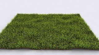 Realistic Grass In 3ds Max  Vray Fur