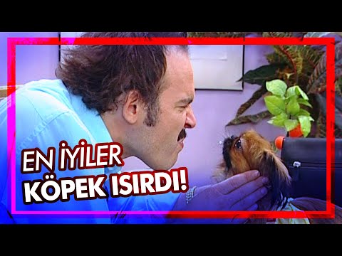 Burhan'ı köpek ısırıyor - Best of Avrupa Yakası