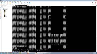 Switch Netflow Configuration for Stealthwatch