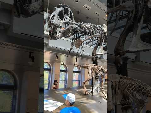 Natural History Museum.