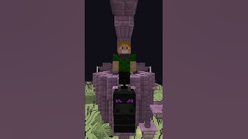 End Void Entities to Spawn Datapack