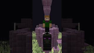 End Void Entities to Spawn Datapack