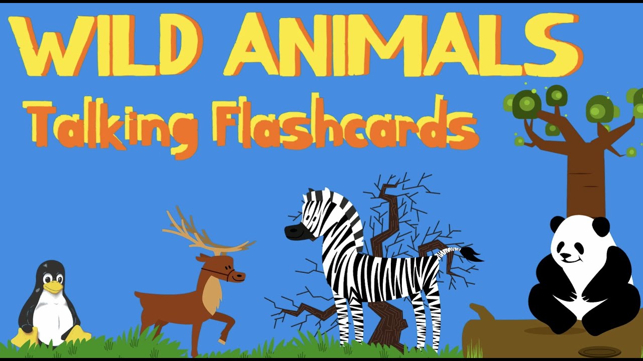 Wild animals talking flashcards with animals' sounds! - YouTube