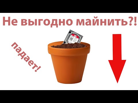 Майнинг Chia #11. Крипта падает! Выгодно ли майнить Chia?