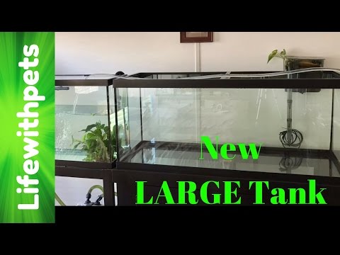 New 75 Gallon