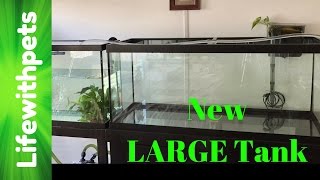 New 75 Gallon Tank Set Up (Part one) How to set up a 75 Betta fish community tank. We have had a few problems as we