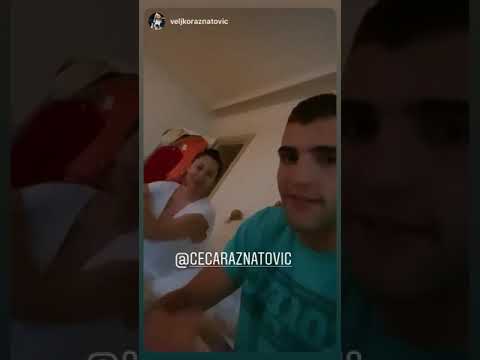 Ceca i Veljko