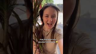 Всегда с цветами 🤣 #цветыдлядома #комнатныецветы #озеленение #цветоводство #драцена #домашниецветы